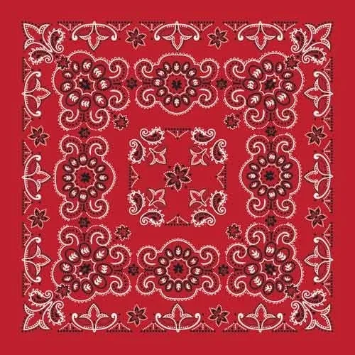 BD2507 Bandana Texas Paisley Red [27" x27"]