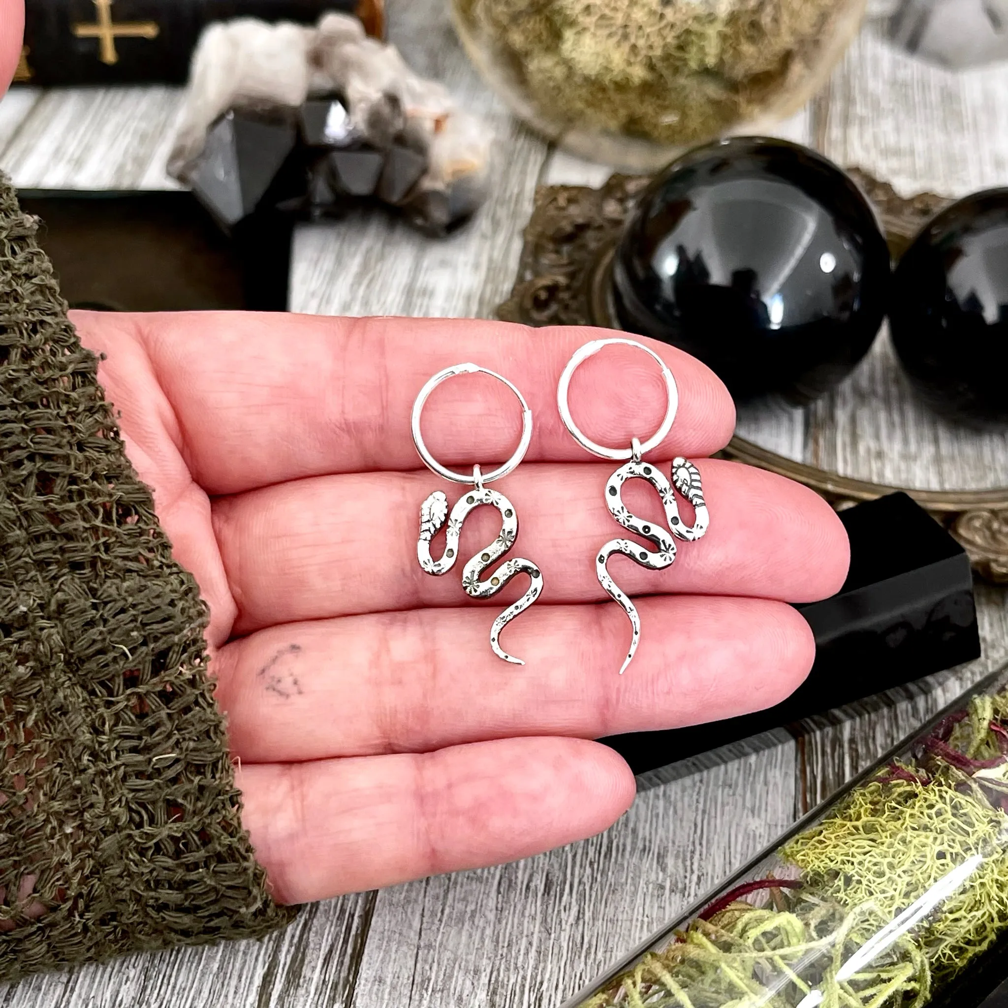 Silver Snake Hoop Earrings  /